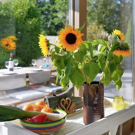 Vakantiehuis Poldersbos 23 - - De Duinparel Ouddorp